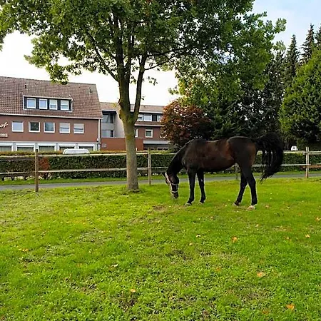 Emshof 3* Warendorf